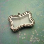 STAINLESS STEEL CZ Dog Bone