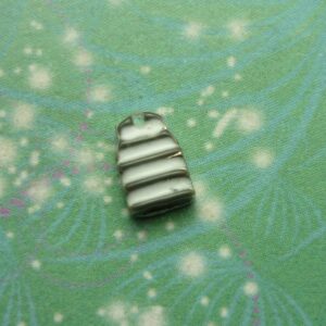 AFL Football Top - Geelong Cats - Charm for Memory Lockets