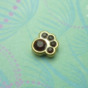 Birthstone-Jan-Paw - Charm for Memory Lockets