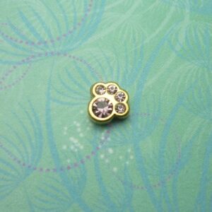 Birthstone-June-Paw - Charm for Memory Lockets