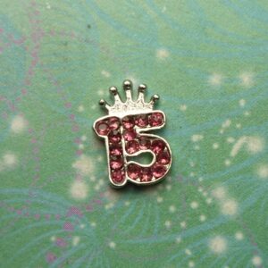 Fifteen 15 Number - Charm for Memory Lockets