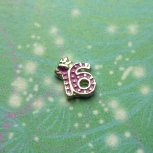 Sixteen Number - Pink - Charm for Memory Lockets