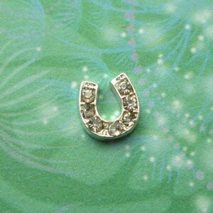 Sparkling CZ Horse Shoe - Charm for Memory Lockets