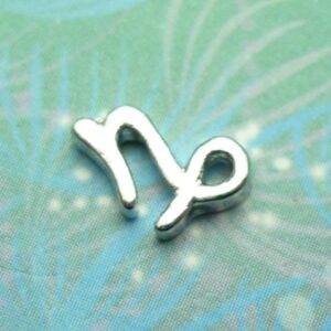 Zodiac Charm - Capricorn - Charm for Memory Lockets