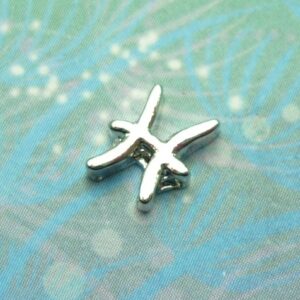 Zodiac Charm - Pisces - Charm for Memory Lockets