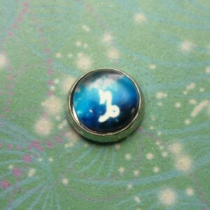 Zodiac Glass Dome - Capricorn - Charm for Memory Lockets