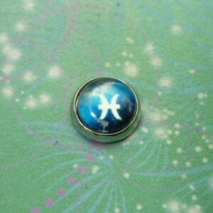 Zodiac Glass Dome - Pisces - Charm for Memory Lockets