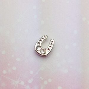 silver horse shoe cz - Charm for Memory Lockets
