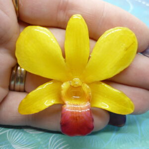 Real Orchid Flower Necklace - Bright Yellow - Handcrafted Gift for Her