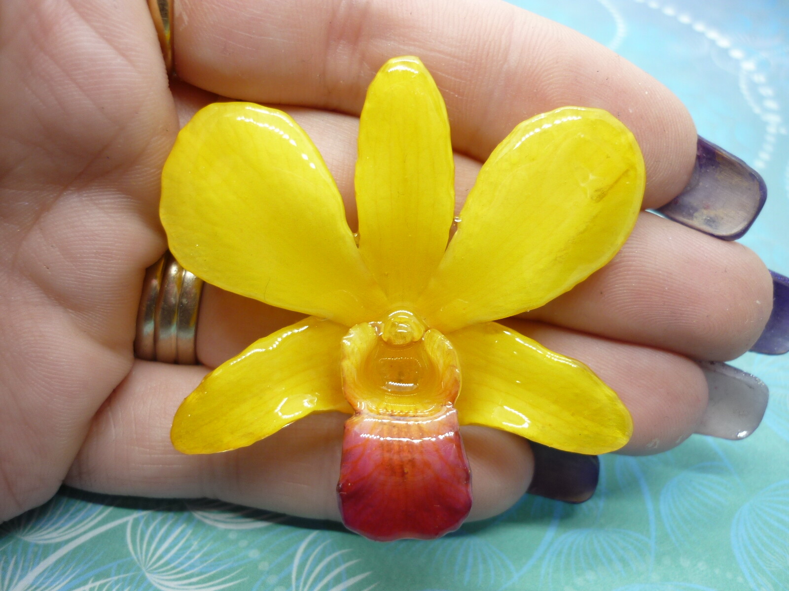 Real Orchid Flower Necklace - Bright Yellow - Handcrafted Gift for Her
