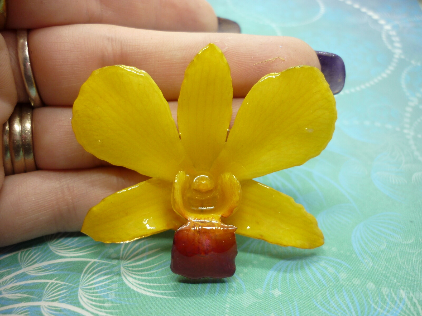 Real Orchid Flower Necklace - Bright Yellow - Handcrafted Gift for Her - Image 6