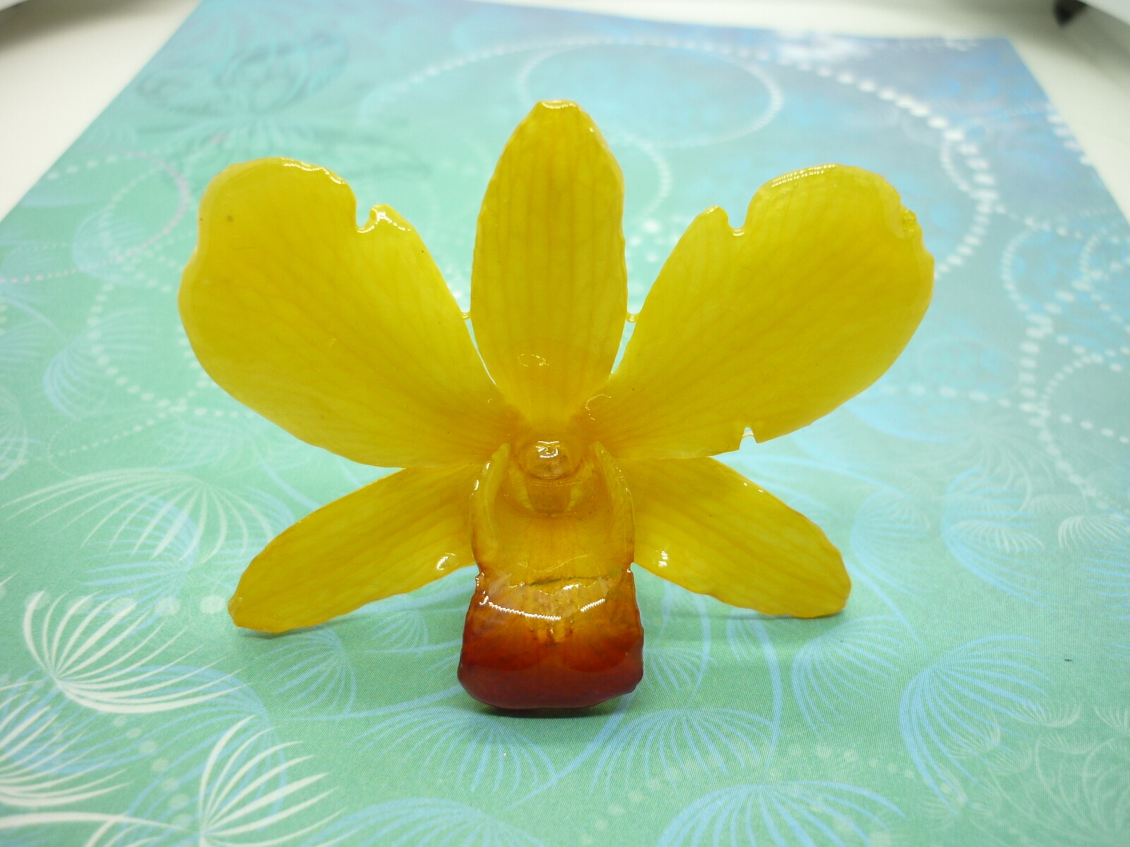 Real Orchid Flower Necklace - Bright Yellow - Handcrafted Gift for Her - Image 8