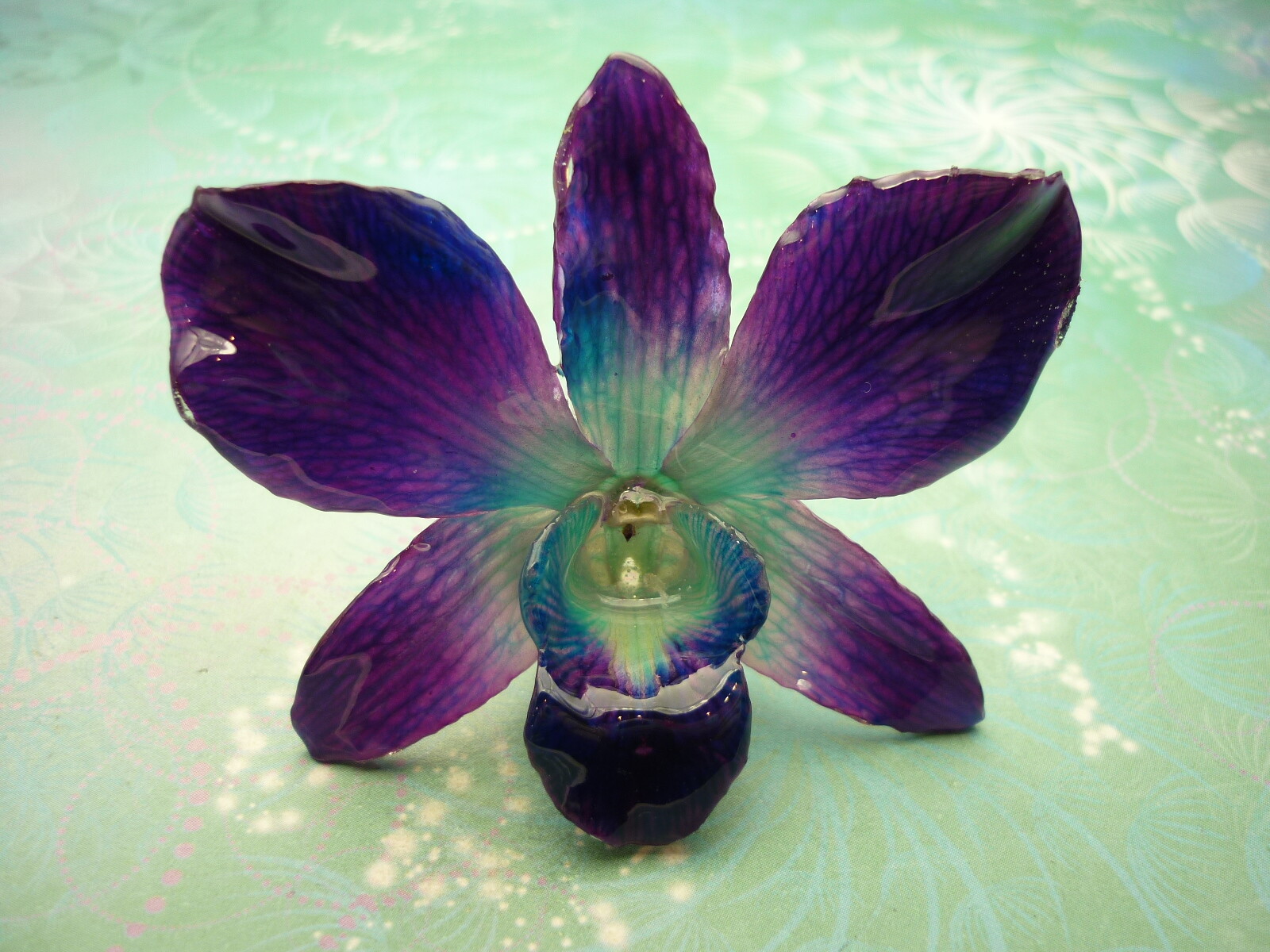 Real Orchid Flower Necklace - Cyan/Blue/Purple. Beautiful gift for Mum - Image 9