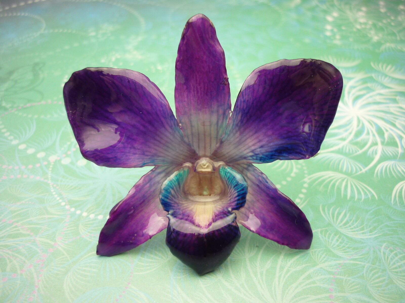 Real Orchid Flower Necklace - Cyan/Blue/Purple. Beautiful gift for Mum - Image 10