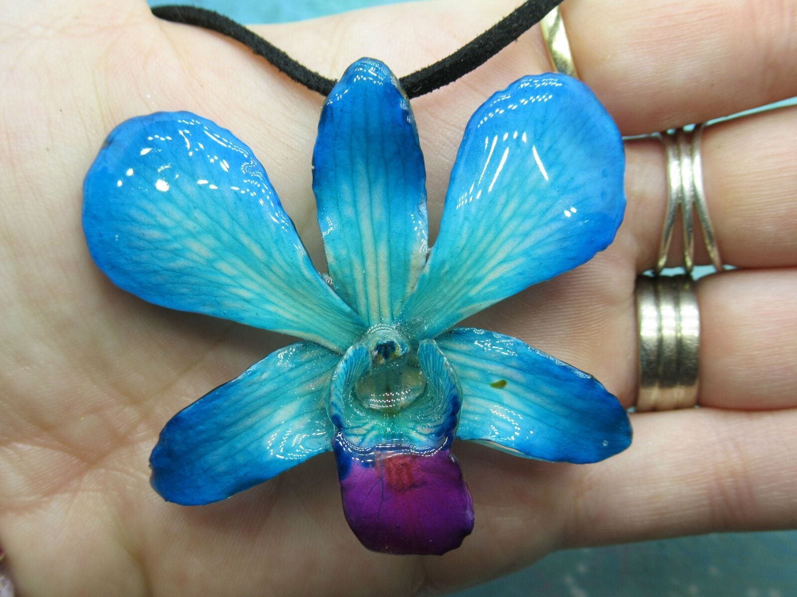 Real Orchid Flower Necklace - Teal/Cyan/Blue. It's a gift for someone special. - Image 3