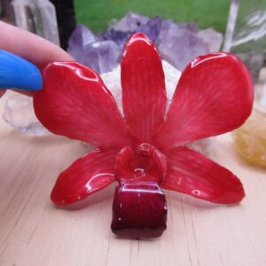 Real Orchid Flower Necklace - Vibrant Red-Pink. This is a REAL Orchid flower which has been preserved in resin making a unique necklace