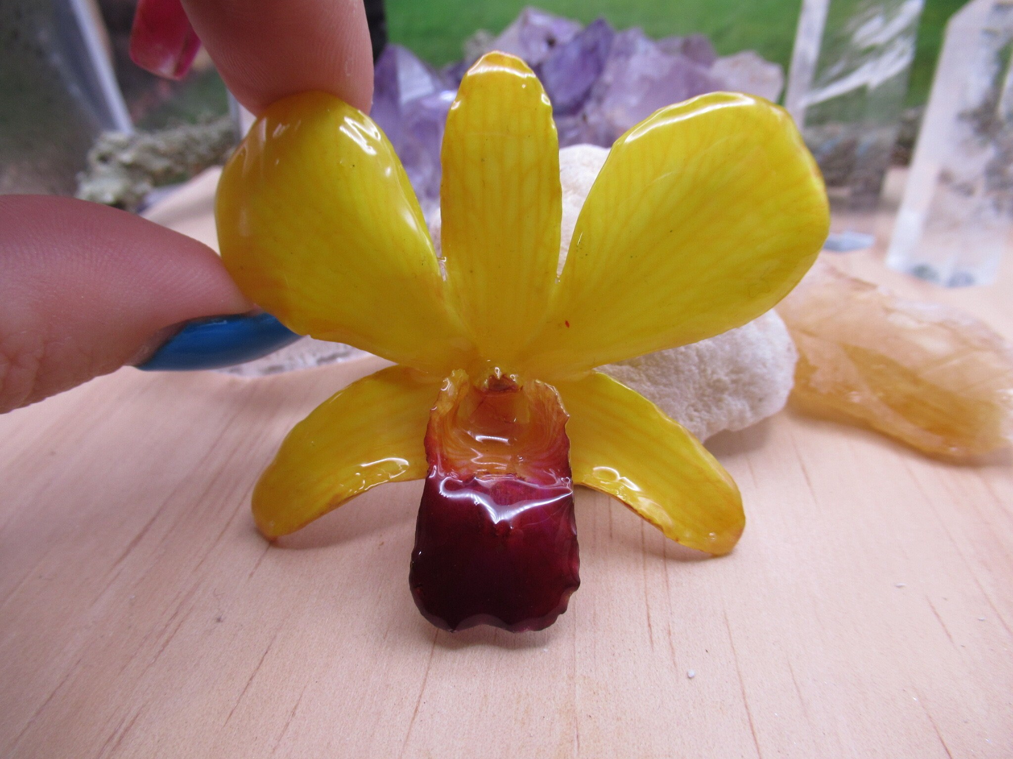 Real Orchid Flower Necklace - Bright Yellow. This is a REAL Orchid flower which has been preserved in resin making a unique necklace - Image 8