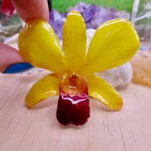 Real Orchid Flower Necklace - Bright Yellow. This is a REAL Orchid flower which has been preserved in resin making a unique necklace