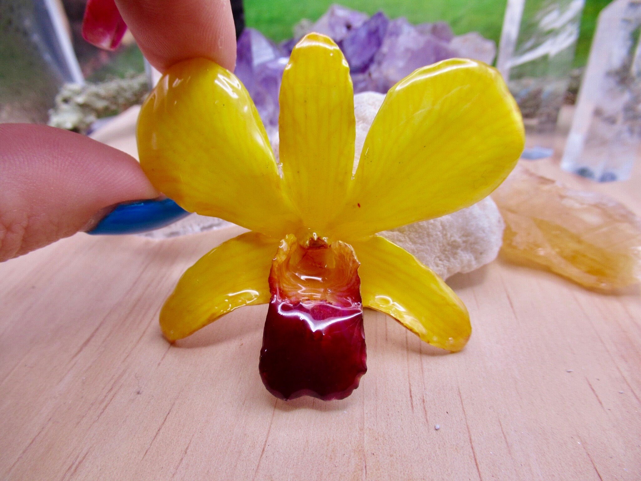 Real Orchid Flower Necklace - Bright Yellow. This is a REAL Orchid flower which has been preserved in resin making a unique necklace