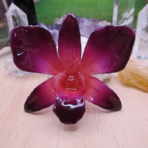 Real Orchid Flower Necklace - Purple/PinkNatural. This is a REAL Orchid flower which has been preserved in resin, making a unique necklace