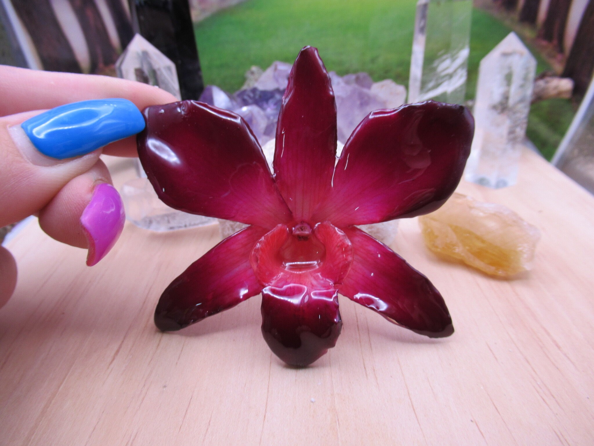 Real Orchid Flower Necklace - Purple/PinkNatural. This is a REAL Orchid flower which has been preserved in resin, making a unique necklace - Image 5