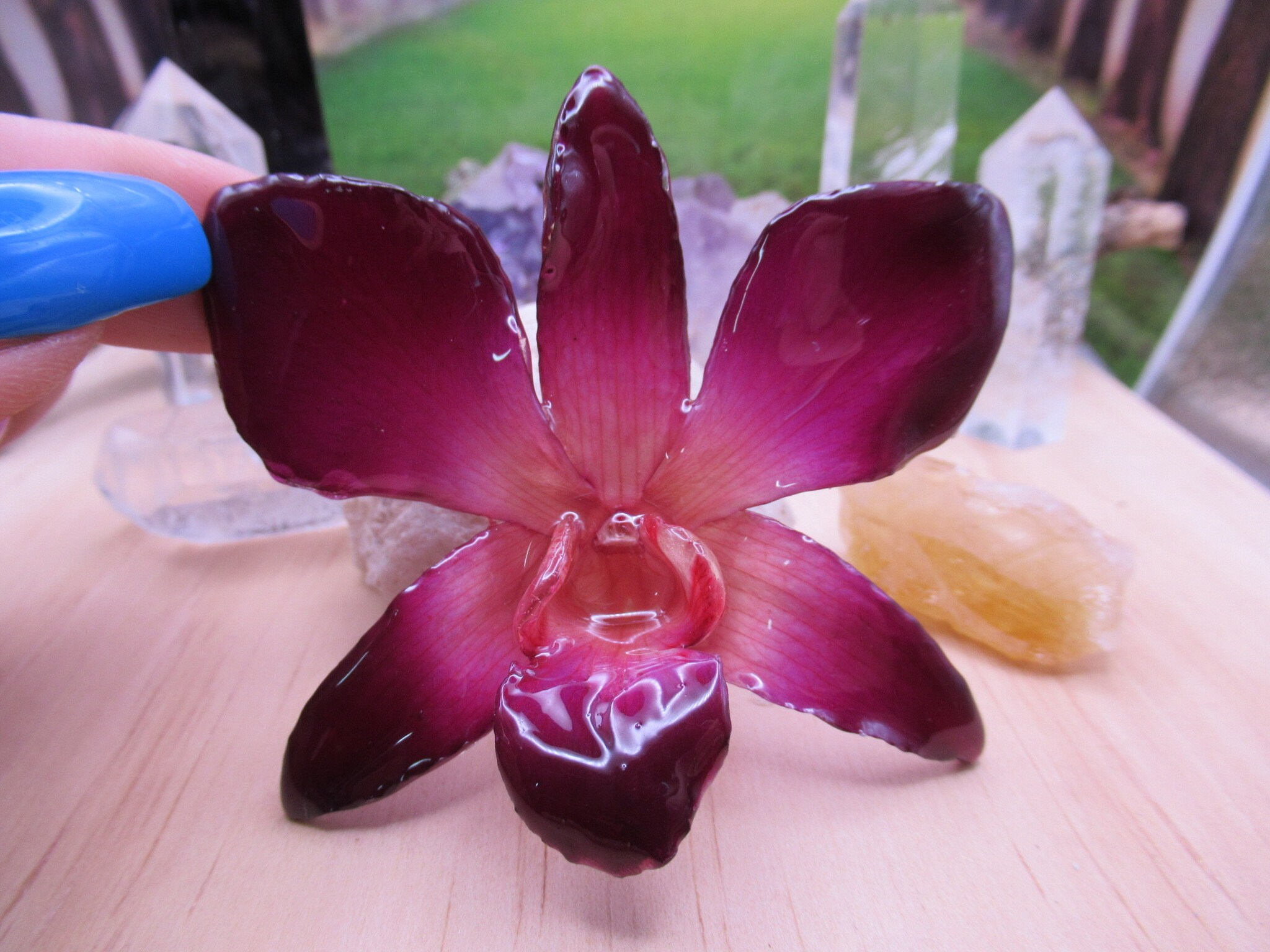 Real Orchid Flower Necklace - Purple/PinkNatural. This is a REAL Orchid flower which has been preserved in resin, making a unique necklace - Image 6