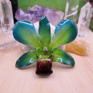 Real orchid flower necklace - green/blue/yellow. this is a real orchid flower that has been preserved in resin making a unique necklace